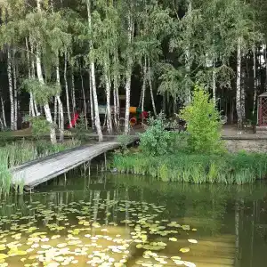 Санаторий - 1