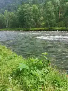 Закуток - 38