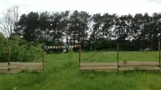 Смородина - 25