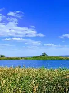 Причал 55 - 10