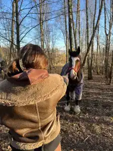 Ёжик в тумане - 27