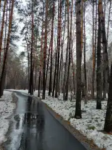 Меркурий - 9