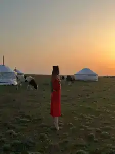 Степняк - 79
