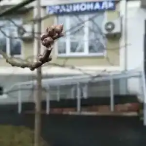 Рациональ Кутузовский - 47