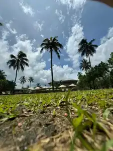 Cinnamon Bentota Beach - 92