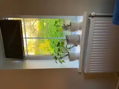 Подворье - 72