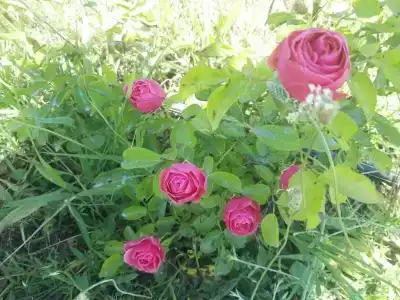 Частный дом на Октябрьской 36 - 28