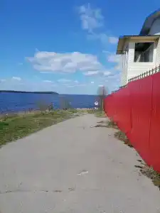 Коди Ярви - 10