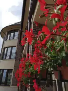 Аура - 6