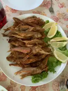 Санта-Мария - 85