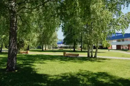 Подмосковье - 25