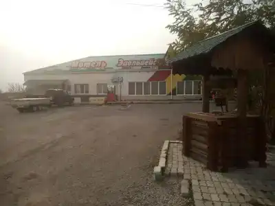 Эдельвейс - 21