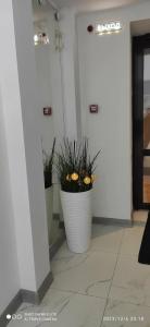 FreeDOM Premium - 89