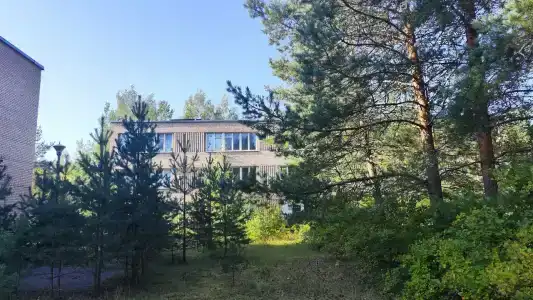 Волна - 71