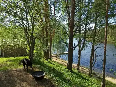 Карельские Лага - 58