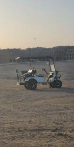 Pyramisa Beach Resort Sahl Hasheesh - 38