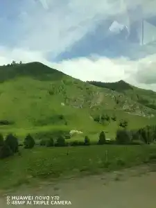 Шинок - 31