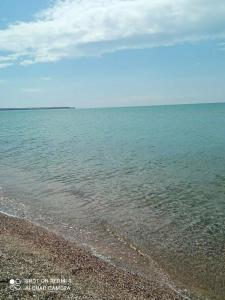 Дом друзей - 67