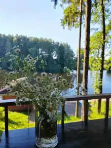 Зелёная роща - 86