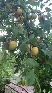 Под крепостью - 21