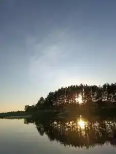 Золотая рыбка - 34