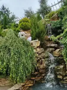 Джумейра - 12