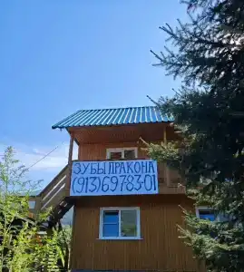 Зубы Дракона - 14