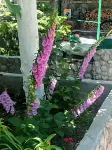 У Галины - 29