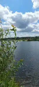 Кольчуга - 33