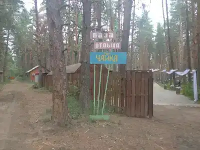 Чайка - 31