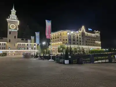 Голден Тюлип - 24