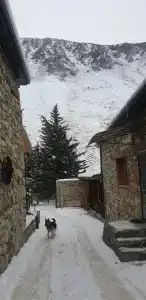 Старый Аламат - 80