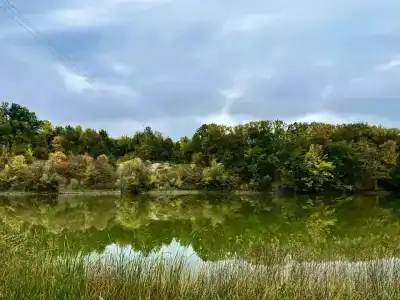 Родное - 75