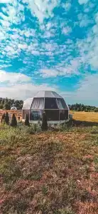 Ферма-Цыпа's - 39