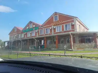 Медведев лес - 22