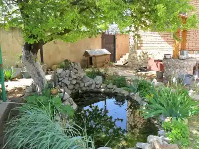 КристОля - 35