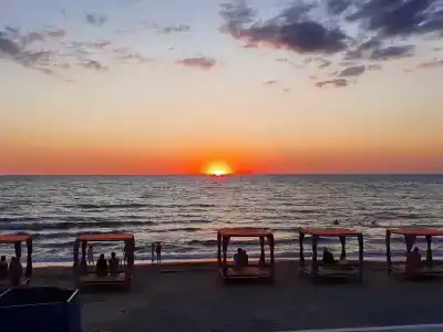 Золотой лев - 69