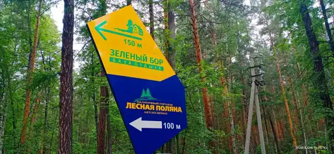 Зеленый бор - 1