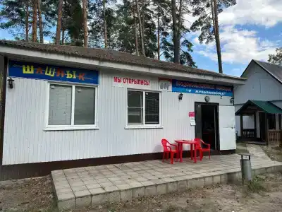 Медведь - 1