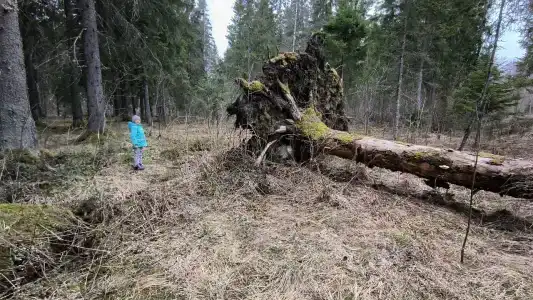 КаньонPark - 36