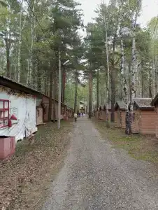 Политехник - 11