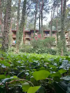 Marmaris Park - 44