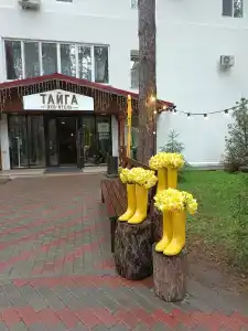 Тайга - 4
