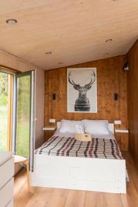 База отдыха на опушке - 25