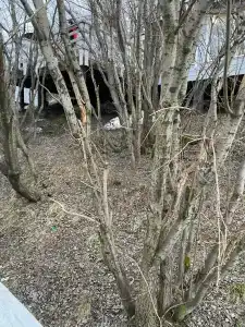 Долина Сканди - 28