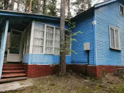 Иволга - 16