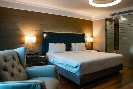 Radisson Blu, Istanbul Sisli - 78