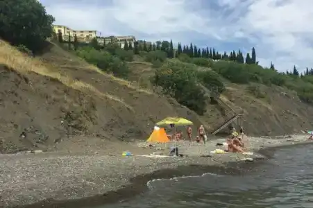 Панорама - 65