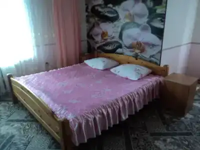Ника - 67