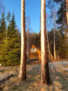 Медведчикова - 15